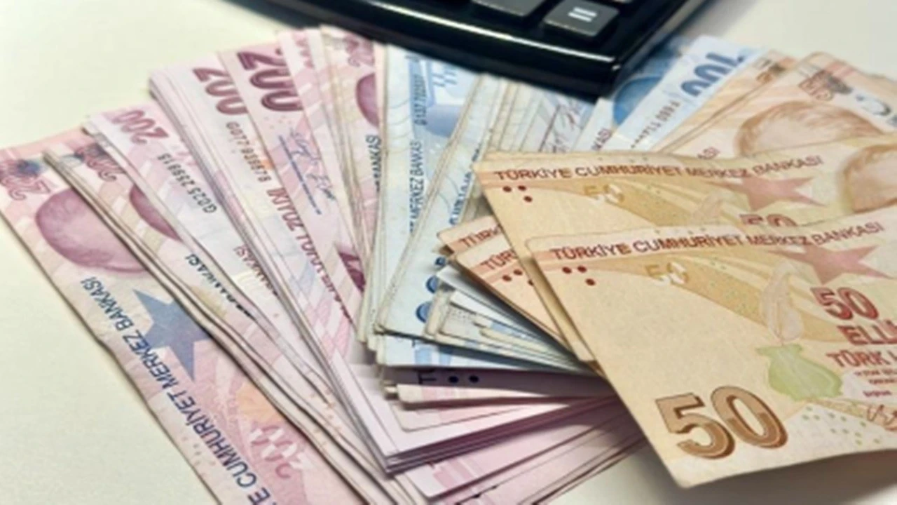 17 yılda payı yüzde 65'in üstüne çıktı: 200 TL piyasanın hâkimi oldu