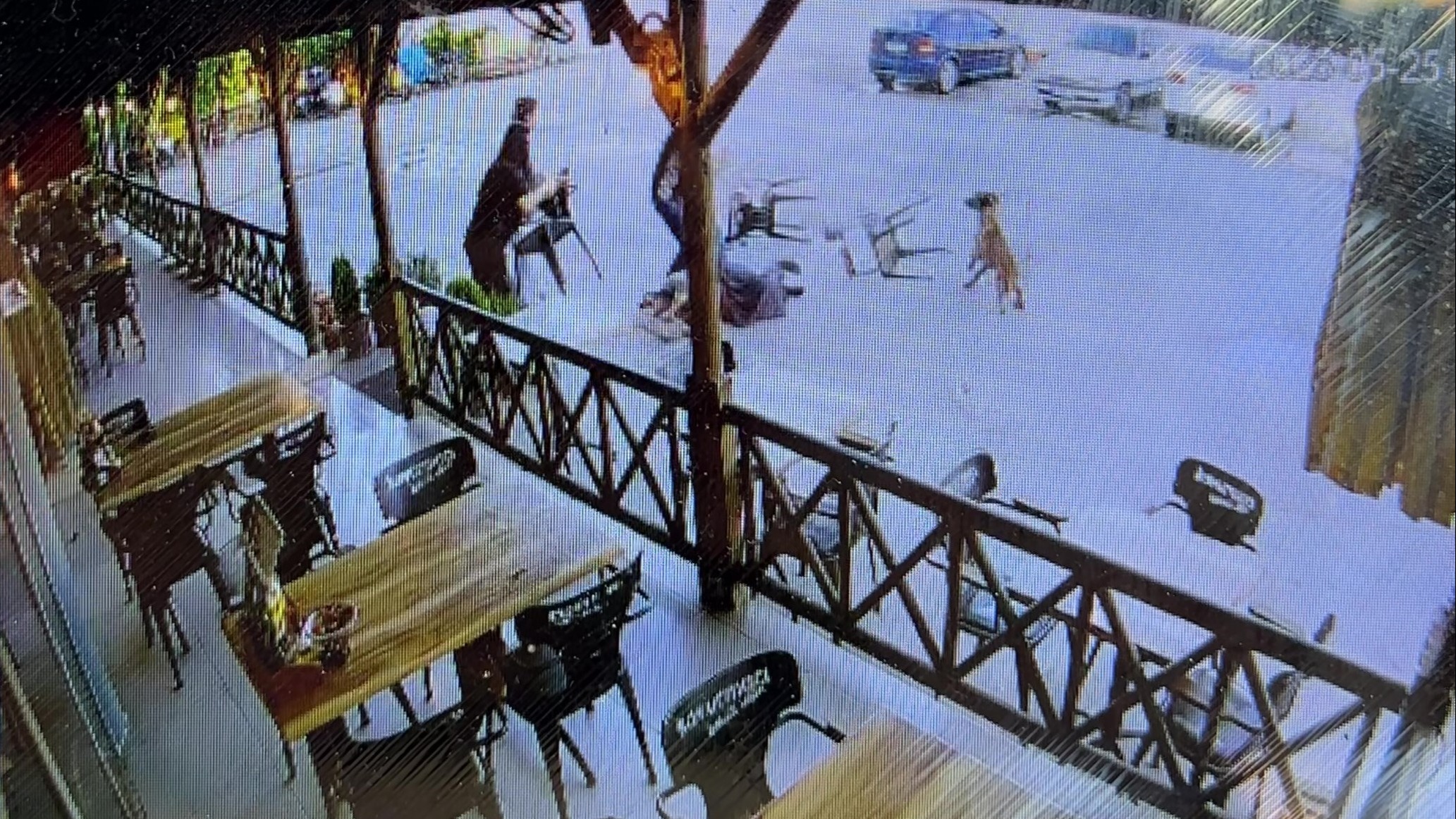 Afyonkarahisar'da kızıyla birlikte dinlenme tesisine gelen kadına saldıran köpek, kadının kolunu kopardı