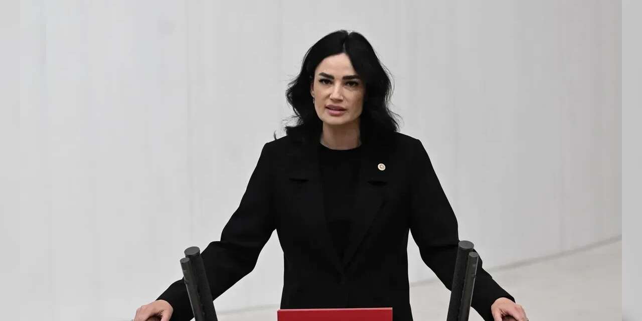 'AKP'li vekilin oğlu okula silahla gitti' iddiası