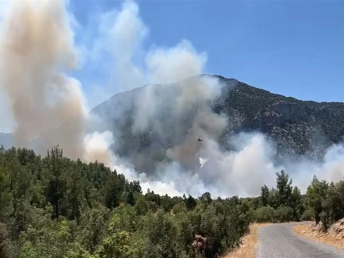 Antalya'nın Akseki ilçesinde ormanlık alanda çıkan yangın kontrol altına alındı
