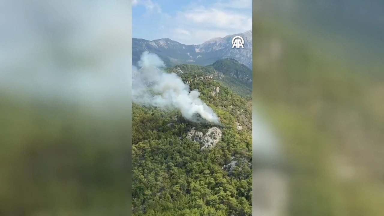 Antalya'nın Kemer ve Balıkesir'in Altıeylül ilçelerinde çıkan orman yangınlarına havadan ve karadan