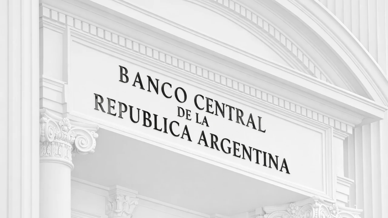 Arjantin Merkez Bankası piyasadaki doları topluyor