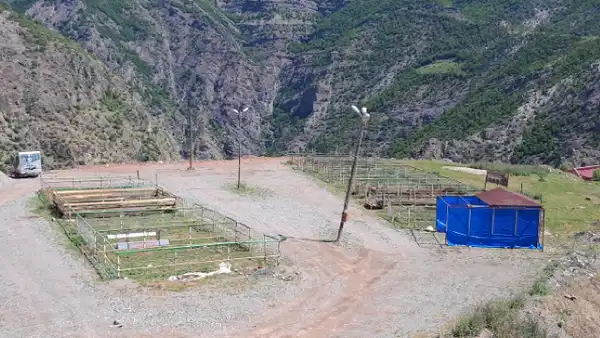 Artvin'de kurban pazarı boş kaldı