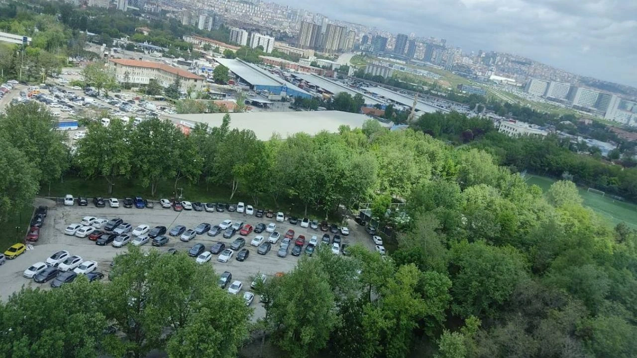 AVM yönetimi trafik oluyor diye 200 ağaç kesecek