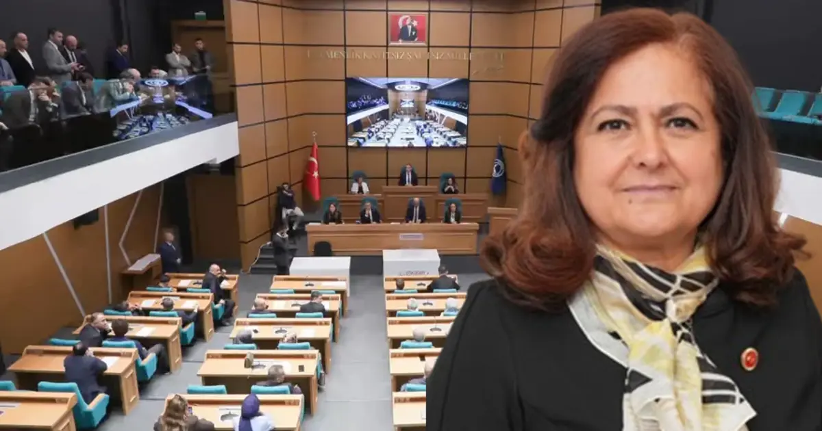 Belediye başkanvekilliğine CHP'li Meclis Üyesi Sibel Tan Çetinkaya seçildi