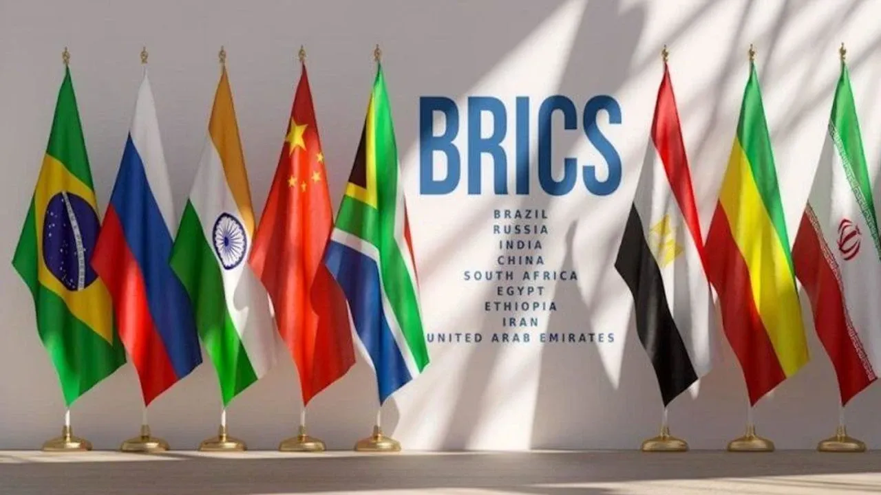 BRICS Dışişleri Bakanları Toplantısı Hindistan'da başladı