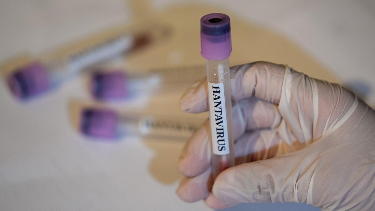 Kanada'da bir kişinin hantavirüs testi pozitif çıktı