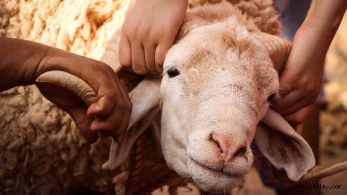 Kurban Bayramı arifesi hangi gün? 2026 Kurban Bayramı'nın resmi tarihleri açıklandı