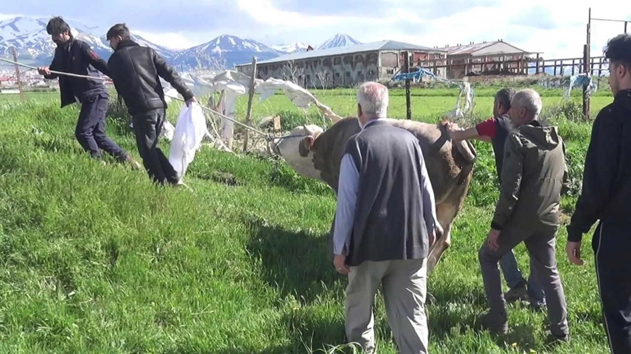 Kurban keserken kalp krizi geçirdiler! Bayramın ilk günü iki eve ateş düştü