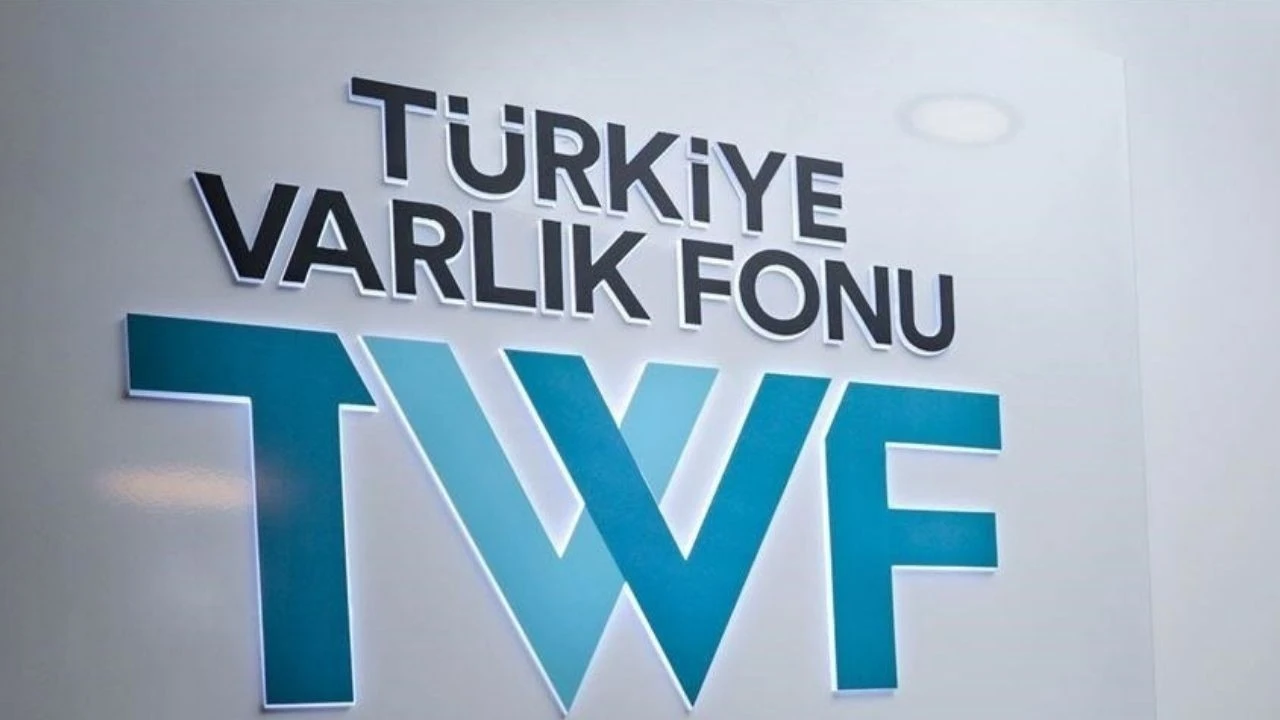 'Mutlak butlan'a karşı Türkiye Varlık Fonu devreye girdi