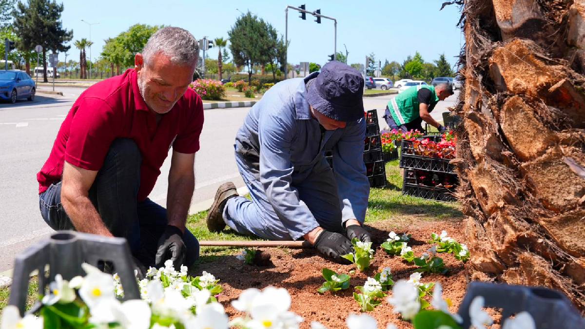 Park ve Bahçeler Müdürlüğü'nden yaz mesaisi