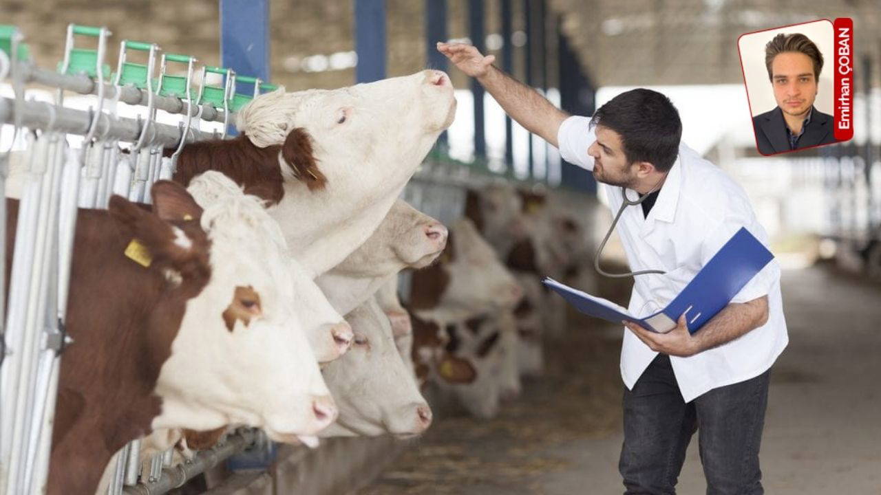 Türkiye gerçeğinde artık memurlar da alacaklarını alamıyor