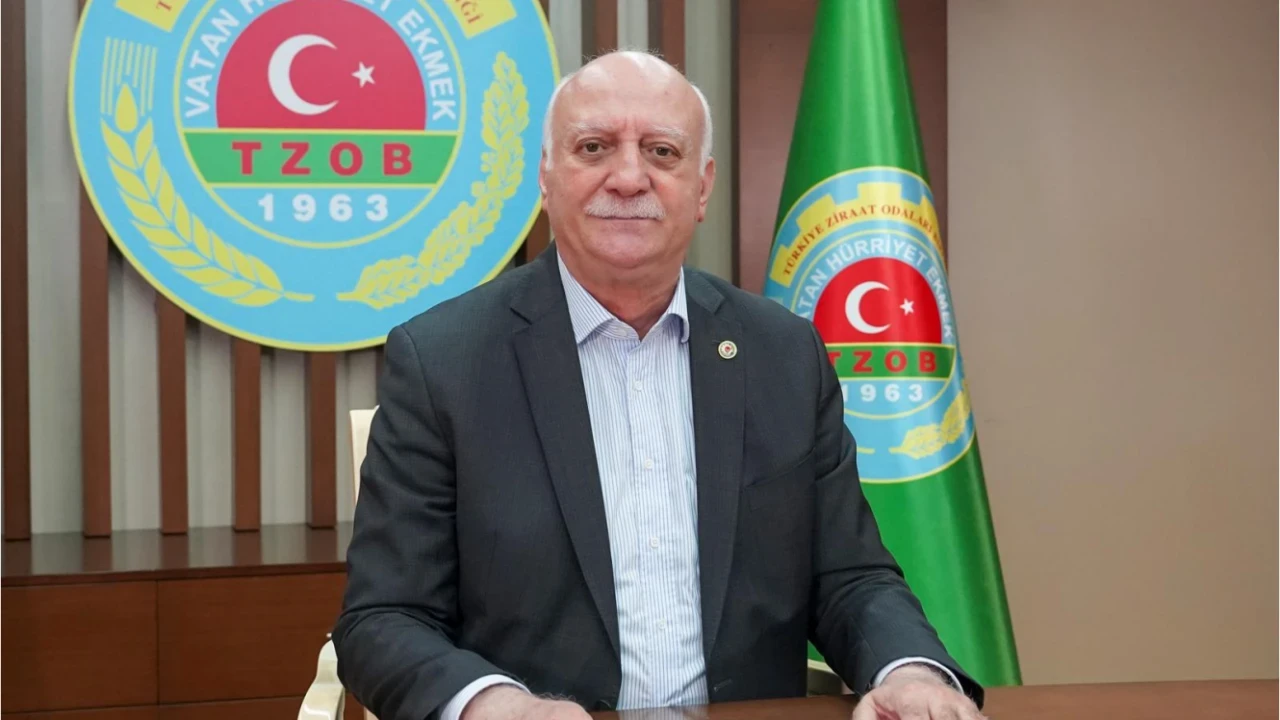 Türkiye Ziraat Odaları Birliği 2026 yılı kurbanlık fiyatları verilerini yayımladı