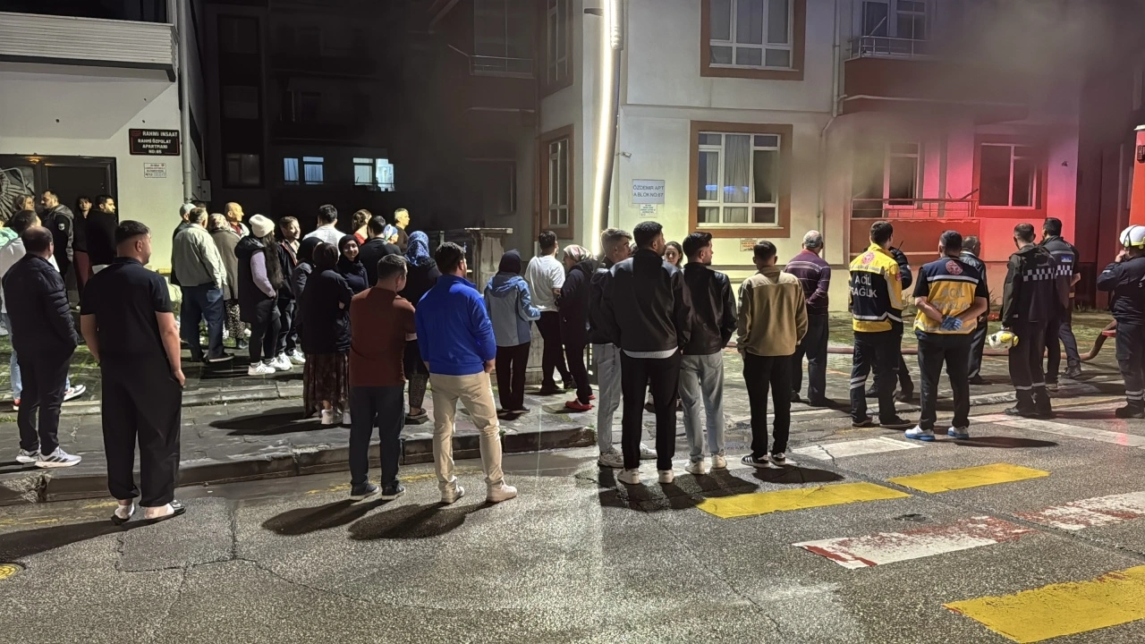 Yangından çıkarılan kediden acı haber: Kurtarılamadı