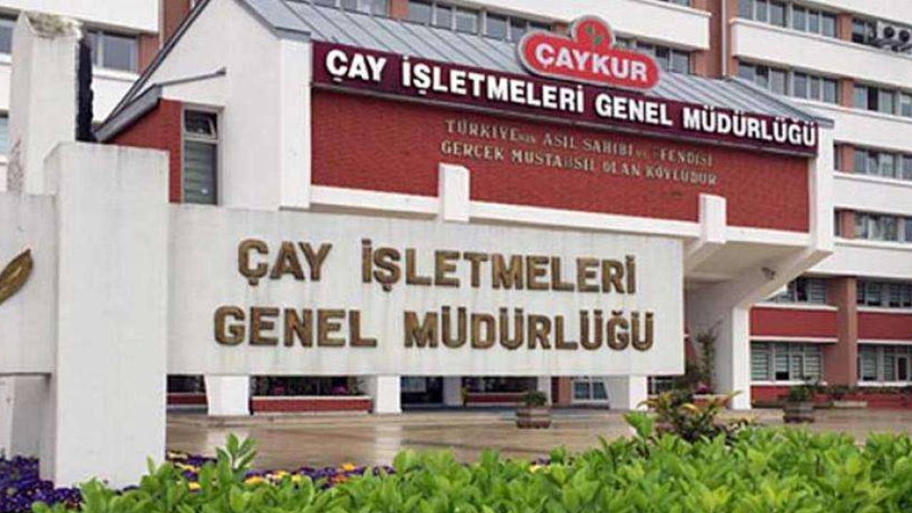Yaş çay alım fiyatı ne kadar oldu? Yaş çay alımı fiyatı açıklandı mı?