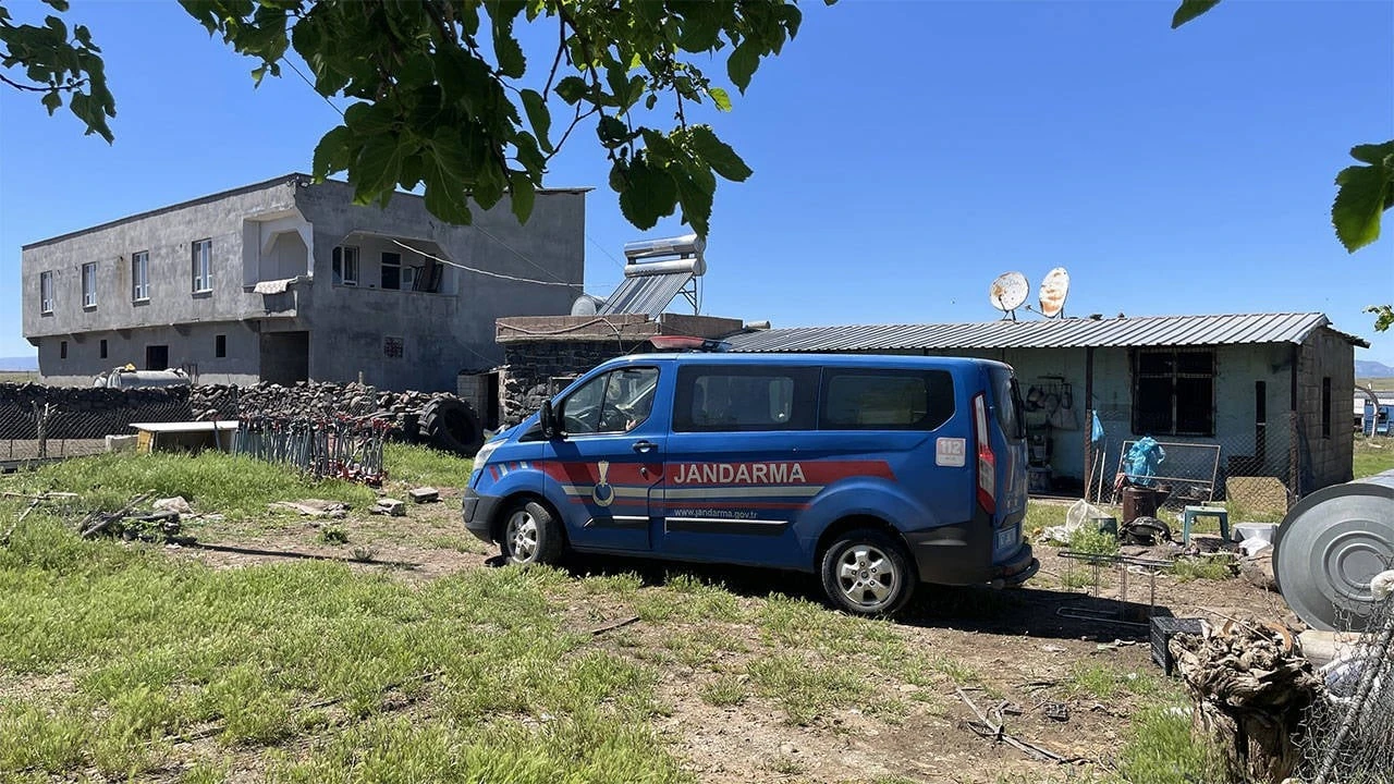 Yılanı vurmak isterken beş kişiyi yaraladı